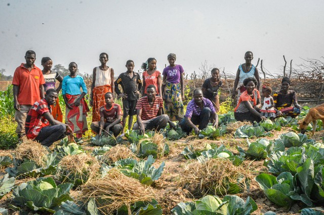 Chính sách hỗ trợ nông nghiệp của Zambia đang giúp giảm nghèo hiệu quả - Ảnh 1.