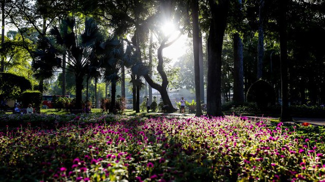 Báo quốc tế gợi ý 5 công viên tuyệt đẹp nên ghé thăm ở Việt Nam - Ảnh 5.