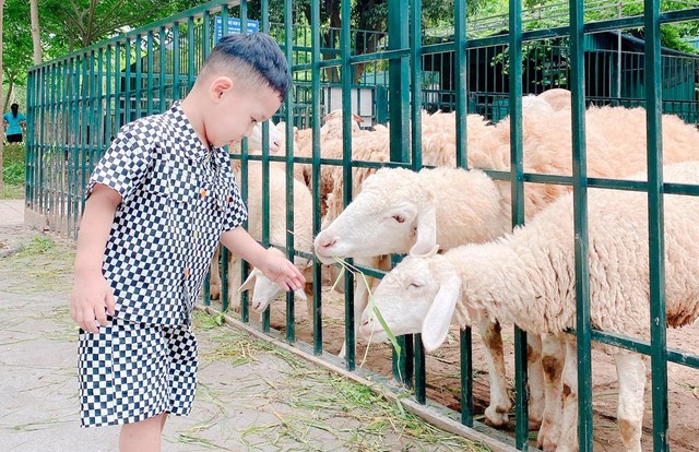 Hà Nội: Đẩy mạnh phát triển kinh tế du lịch gắn với nông nghiệp, nông thôn - Ảnh 2. Hà Nội: Đẩy mạnh phát triển kinh tế du lịch gắn với nông nghiệp, nông thôn - Ảnh 2.