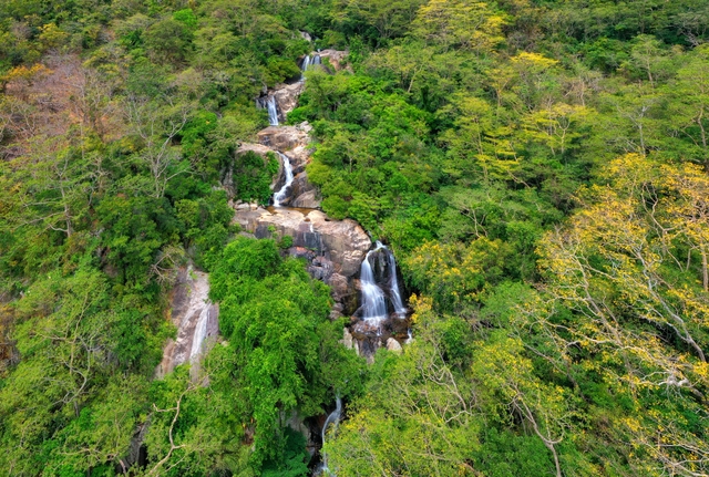 Bộ TNMT đang tham vấn chuyển đổi 12ha rừng tự nhiên tại Vườn quốc gia Núi Chúa làm Khu nghỉ dưỡng cao cấp - Ảnh 1.