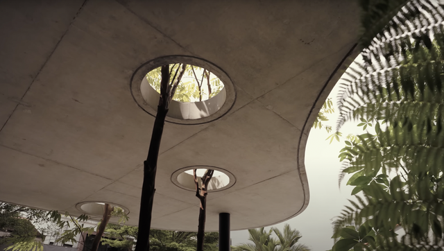 Vợ chồng làm khu vườn nhiệt đới ngay giữa nhà, không gian sống đẹp đến độ từng nhận giải thưởng kiến trúc  - Ảnh 3.