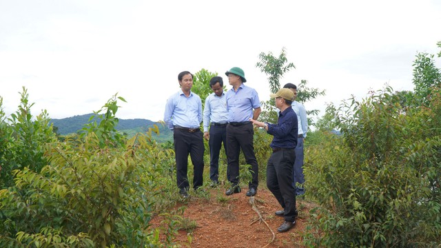 Thừa Thiên Huế: Phấn đấu đưa A Lưới ra khỏi 74 huyện nghèo quốc gia vào cuối năm 2023 - Ảnh 2.