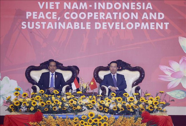 Những hoạt động đầu tiên của Tổng thống Indonesia Joko Widodo tại Việt Nam - Ảnh 7.