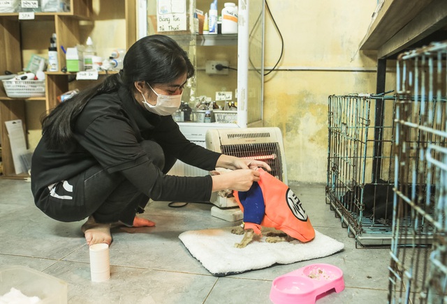Trạm cứu hộ chó, mèo của các bạn sinh viên ở Hà Nội: “Chúng mình không muốn nhận được cuộc điện thoại nói rằng tại đây đang có động vật bị bỏ rơi” - Ảnh 4.