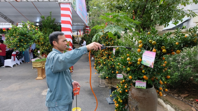Hà Nội lần đầu tổ chức Lễ hội hoa đào, quất cảnh và sản phẩm OCOP các vùng miền Xuân Giáp Thìn 2024 - Ảnh 1.