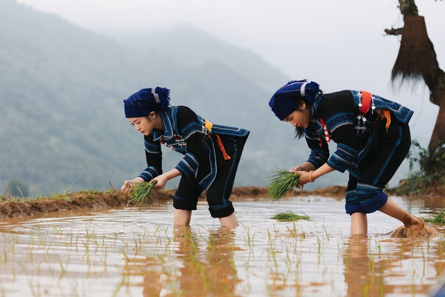 Lâm Bảo Châu làm thầy giáo trong MV mới của Nguyễn Thu Hằng - Ảnh 3.