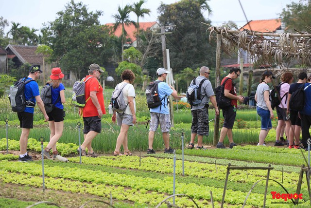 Hội An xây dựng tuyến tham quan xanh tại Làng rau Trà Quế - Ảnh 1.