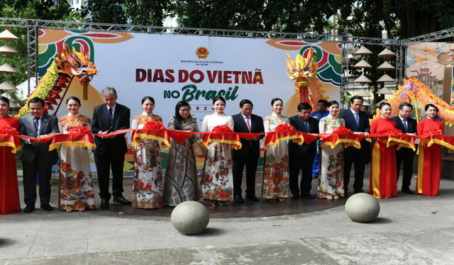 Thủ tướng: Đưa hợp tác văn hóa Việt Nam - Brazil phát triển mạnh mẽ và sâu rộng hơn nữa - Ảnh 1.