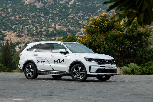 Kia K5 và Kia Sorento ưu đãi đặc biệt gần nửa tỷ đồng - Ảnh 4.