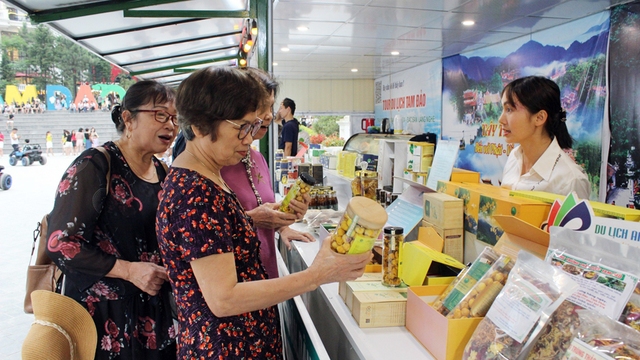 Vĩnh Phúc: Khai thác có hiệu quả những dư địa còn trống để đưa du lịch thành ngành kinh tế mũi nhọn - Ảnh 1.