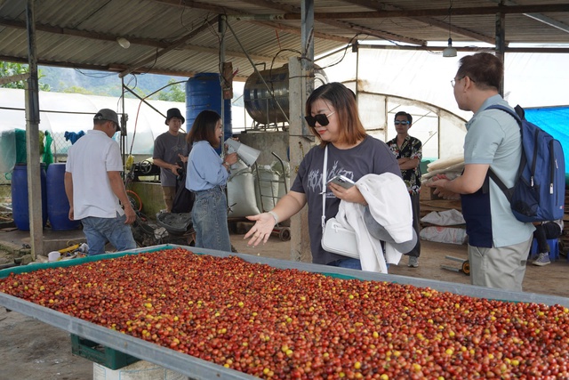 Quảng Trị nghiên cứu phát triển sản phẩm du lịch gắn kết trải nghiệm cà phê - Ảnh 3.