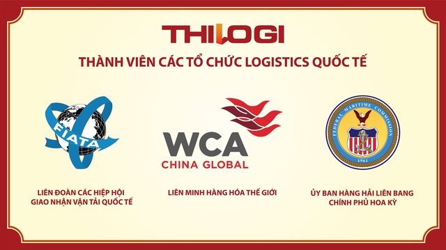 Hành trình định vị thương hiệu THILOGI - Ảnh 6.