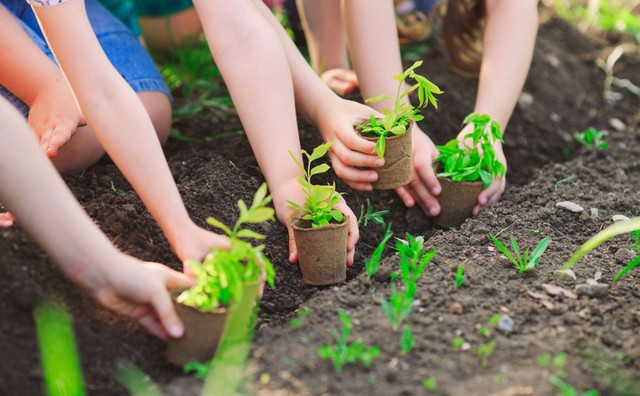 Ngành Giáo dục tổ chức hiệu quả phong trào “Tết trồng cây đời đời nhớ ơn Bác Hồ” Xuân Giáp Thìn 2024 - Ảnh 1.
