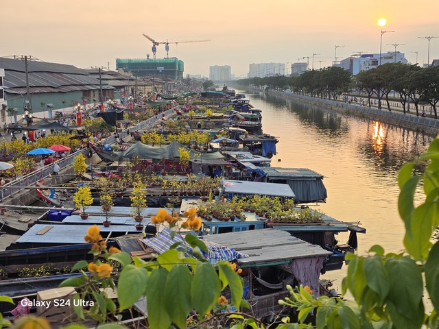 Rực rỡ sắc màu hoa xuân &quot;Trên bến, dưới thuyền&quot; ngày 30 Tết ở Sài Gòn qua ống kính Galaxy S24 Ultra - Ảnh 3.