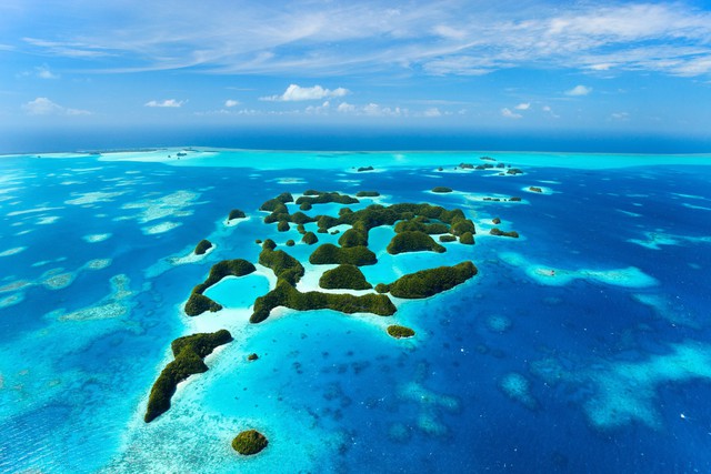 Cách đảo quốc Palau phát triển du lịch thông qua thúc đẩy bảo tồn hệ sinh thái biển - Ảnh 1.