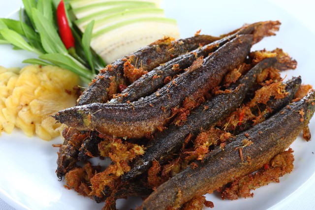 Việt Nam có 2 loại “cá trường thọ” tốt ngang nhân sâm, tổ yến: Ăn vào giúp bổ máu, dưỡng thận, hạ đường huyết hiệu quả - Ảnh 1.