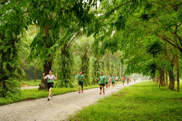 Dàn elite và gần 4000 vận động viên đổ bộ Ecopark Marathon 2024 - Ảnh 1.
