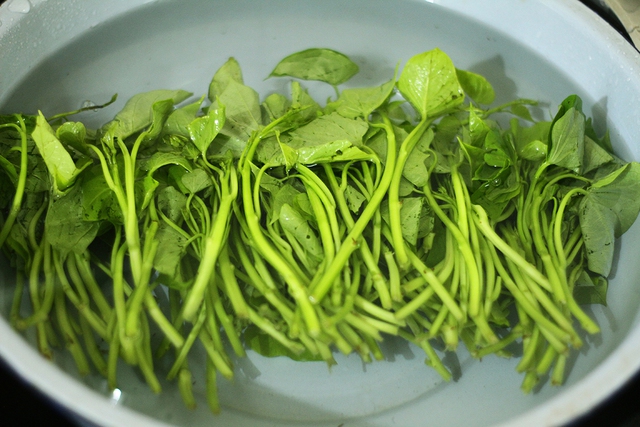 2 loại rau quý được người Nhật ví như ''thuốc trường thọ'' và ''lá hồi sinh'': Ở Việt Nam trồng đầy vườn, ăn không lo hết - Ảnh 3.