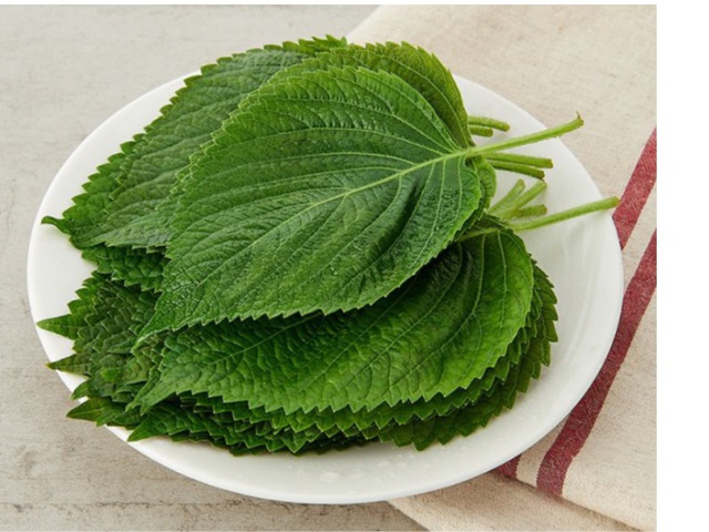 2 loại rau quý được người Nhật ví như ''thuốc trường thọ'' và ''lá hồi sinh'': Ở Việt Nam trồng đầy vườn, ăn không lo hết - Ảnh 2.