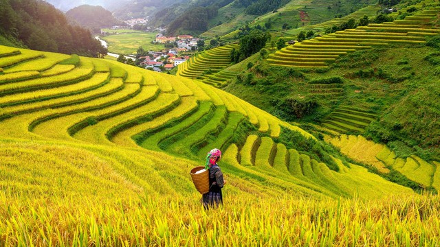 Việt Nam là một trong những điểm đến du lịch tốt nhất thế giới năm 2024 - Ảnh 1.