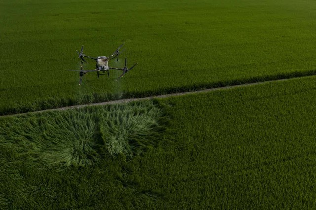 Kỹ thuật trồng lúa giảm phát thải khí mê-tan tại Việt Nam là kinh nghiệm quý cho thế giới - Ảnh 1.