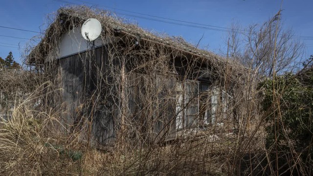 Nhật Bản: Nhiều ngôi nhà bỏ hoang không có người ở - Ảnh 2.
