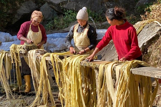 Nông dân Nepal "đổi đời" nhờ cung cấp nguyên liệu cho Nhật Bản làm giấy in tiền