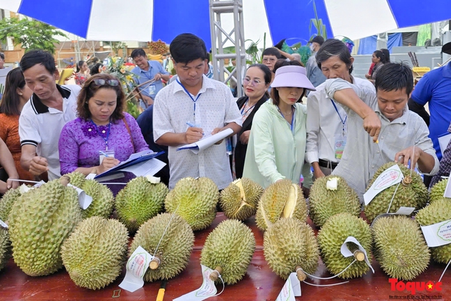 Khánh Hòa: Khai mạc lễ hội trái cây lần thứ 3 năm 2024 - Ảnh 2.