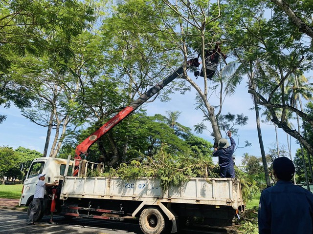 TP Huế chủ động phương án bảo vệ những &quot;lá phổi xanh&quot; trước mùa mưa bão - Ảnh 2.