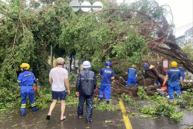 Trung Quốc chủ trương nhanh chóng phục hồi sau siêu bão Yagi - Ảnh 1.