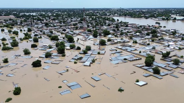 Lũ lụt tràn qua sở thú Nigeria, cuốn trôi rắn và cá sấu vào khu dân cư - Ảnh 1.