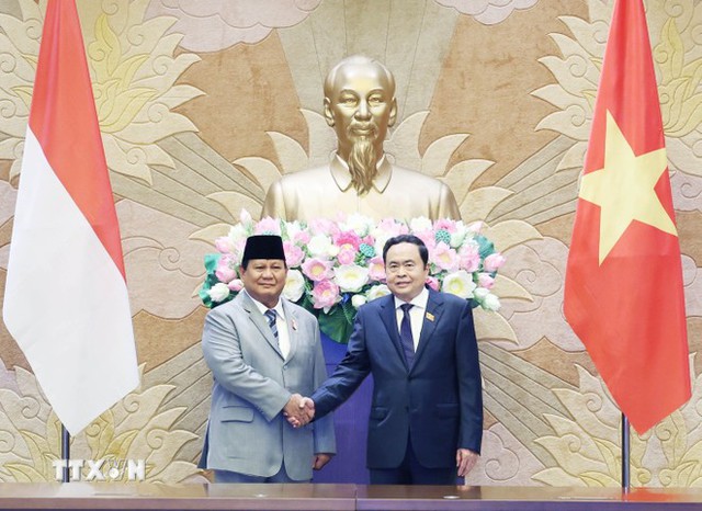 Những hoạt động của Tổng thống Indonesia Prabowo Subianto tại Việt Nam - Ảnh 6.