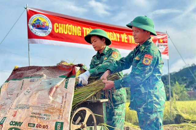 Bộ đội Biên phòng giúp nhân dân biên giới thu hoạch lúa trong ngày nghỉ lễ - Ảnh 2.