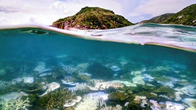 Phát huy du lịch bền vững ở Rạn san hô Great Barrier (Australia) - Ảnh 1.