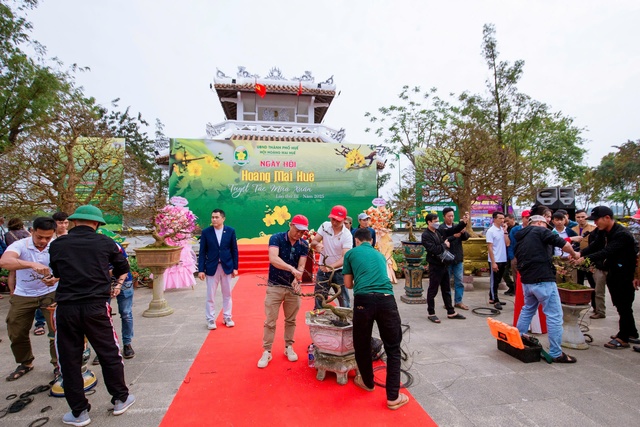 Hàng trăm gốc mai đẹp khoe dáng tại &quot;Ngày hội Hoàng mai Huế 2025&quot; - Ảnh 1.