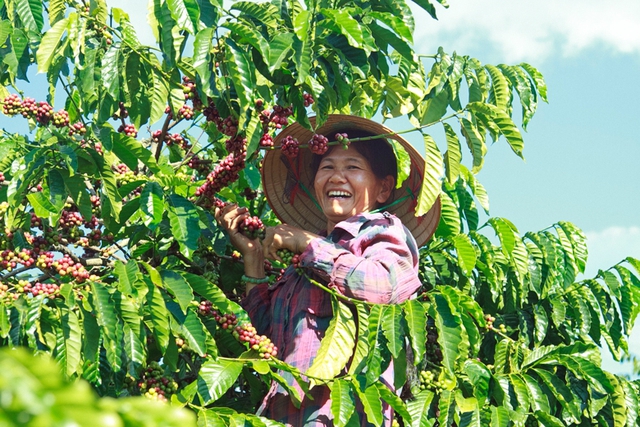 “Thành phố cà phê của thế giới” - Ảnh 2.