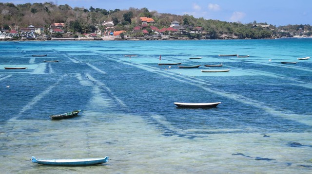 Không phải Bali, một điểm đến khác ở Indonesia khiến du khách rất thích thú - Ảnh 3.