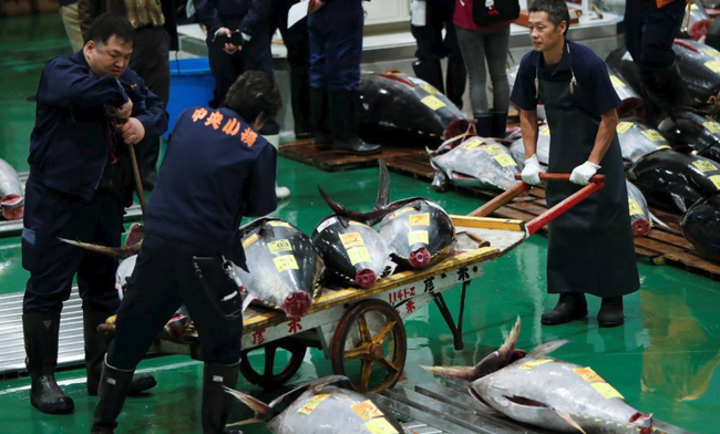 Chợ cá nổi tiếng nhất Tokyo mở lại cửa đón khách - Ảnh 1.