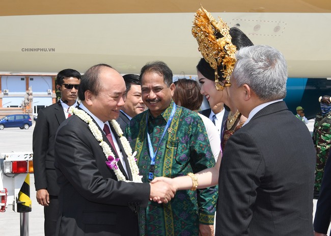 Thủ tướng đến Bali, Indonesia - Ảnh 1.