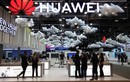 Huawei Cloud tăng trưởng ấn tượng, tiếp tục xây dựng nền tảng hệ sinh thái