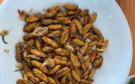 Mê mẩn một món đặc sản có nguồn gốc từ côn trùng ở Việt Nam, anh chàng nước ngoài đăng đàn hỏi tên để mua lại cho bằng được