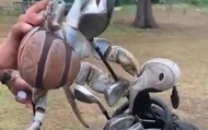 Đang bận "cuốc đất", golfer kinh hãi phát hiện một con vật kỳ dị leo lên túi, cắt đứt cả gậy golf