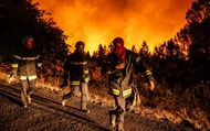 EU tổng lực hỗ trợ Pháp đối phó với cháy rừng