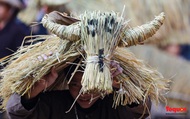 Người nông dân đóng giả trâu bò đi cày trong lễ hội "Trâu rơm, bò rạ"
