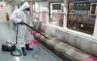 Hàn Quốc tuyên chiến diệt rệp bùng phát quy mô rộng