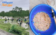 Huy động gia đình lội nước, chịu lạnh, bắt loài đặc sản "lộc trời" thu về cả triệu đồng/ngày