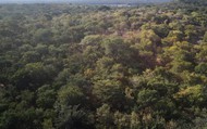 COP28: Những kỳ vọng của thế giới giải quyết khủng hoảng khí hậu
