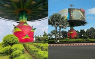 Ngoài mì tôm, Bình Thuận còn có trái thanh long cao 9m sừng sững giữa vòng xoay
