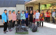 Dự án Plan tập huấn và hỗ trợ giống vật nuôi cho 200 hộ thanh niên tại Hà Giang