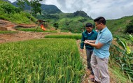 Chuyện làm giàu của người vùng khó